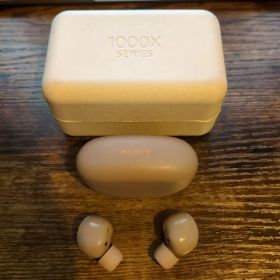 SONY ワイヤレスイヤホン WF-1000XM5 スモーキーピンク