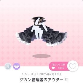 ジカン管理者のアウター2点、彷徨う兎のしっぽ2点 | ポケコロツイン(ポケツイ)のアカウントデータ、RMTの販売・買取一覧