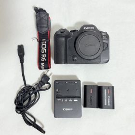 【最終値下げ】 Canon EOS R6 mark2 ボディ 中古