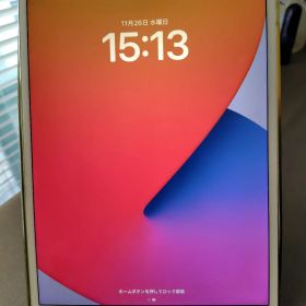 Apple iPad Pro 10.5インチ 256gb セルラーモデル