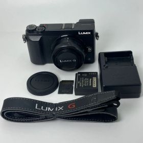 【返品保証・動作確認済】Panasonic LUMIX DMC-GX7MK2 標準ズームレンズキット