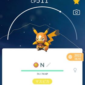 マスクドピカチュウ色違いトレード販売【国産】 | ポケモンGOのトレード(モンスター)、RMTの販売・買取一覧
