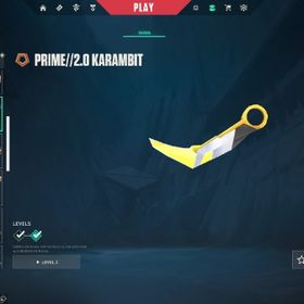 総課金額約40万 champions 2021 23 24 25 引退垢 | VALORANT(ヴァロラント)のアカウントデータ、RMTの販売・買取一覧