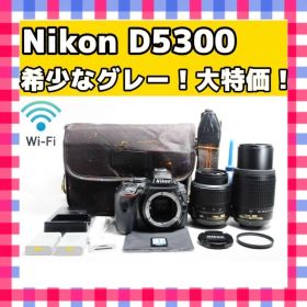 大特価！❤️Nikon D5300❤️Wi-Fi搭載❤️一眼レフカメラ