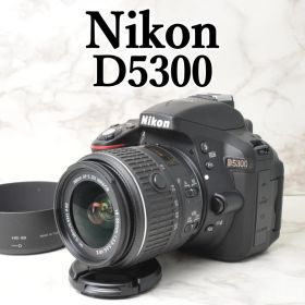 Nikon D5300⭐️Wi-Fi スマホ転送 高画質 一眼レフカメラ
