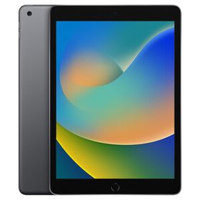 【美品・Aランク】 iPad 10.2インチ 第9世代 Wi-Fi 64GB スペースグレイ ACアダプターとケーブル付き