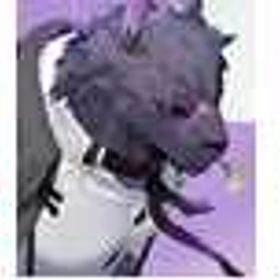 📚図一覧まとめ✨ | カオゼロ(カオスゼロナイトメア)のアカウントデータ、RMTの販売・買取一覧