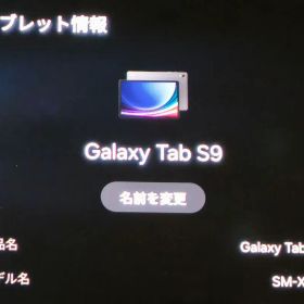 Galaxy Tab S9 Wi-Fi Sペン付属 ※オマケお絵描きペン付