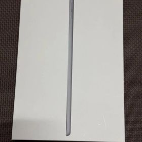 Apple iPad mini 第5世代 本体