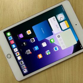 iPad mini (第5世代) 64GB Wi-Fi モデル (D3)