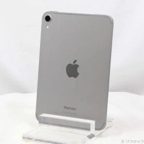 〔中古品〕 iPad mini(A17 Pro) 256GB スペースグレイ MXPT3J／A SIMフリー【198】