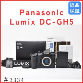 【美品】パナソニック Panasonic Lumix DC-GH5 ボディ