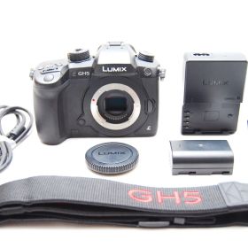 ★極上美品 ショット数134回 パナソニック ミラーレス一眼カメラ ルミックス GH5 ボディ ブラック DC-GH5-K★