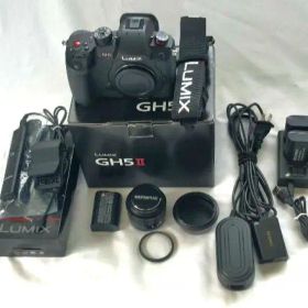 ●LUMIX GH5M2●