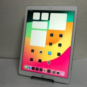 iPad Pro 12.9インチ（第2世代）Wi-Fiモデル256GB No35