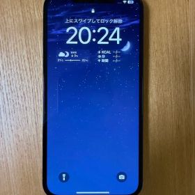 iPhone12ProMax 256GB