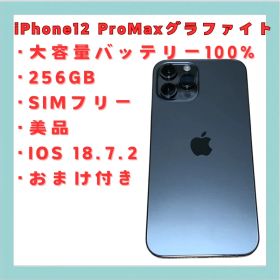 iPhone 12 Pro Max 256GB SIMフリー 美品