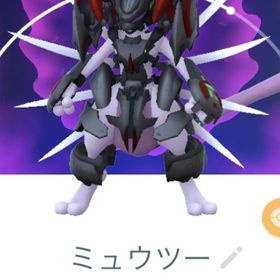 ミハウさま専用 | ポケモンGOのアカウントデータ、RMTの販売・買取一覧