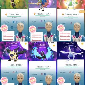 TL71 伝説100%x19体、色違いレックウザ💯、色違いミュウツー💯、日・月食ネクロズマ💯 | ポケモンGOのアカウントデータ、RMTの販売・買取一覧
