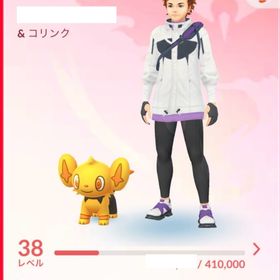 完全リアルプレー TL38 赤色チーム 色違いコバルオン 色違いコリンク PTC | ポケモンGOのアカウントデータ、RMTの販売・買取一覧