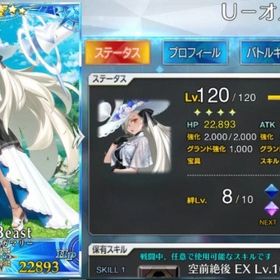 引退アカウント販売です《5》 | FGOのアカウントデータ、RMTの販売・買取一覧