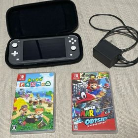 Nintendo Switch Lite グレー ソフト2本付き