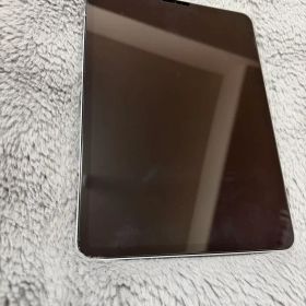 iPad pro 11インチ 第一世代 64GB WiFiモデル