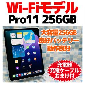Wi-Fi iPad Pro 11本体 256GB シルバー 電池良好