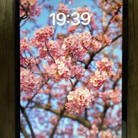 iPad Pro 256GB 11インチ 代1世代 Wi-Fi