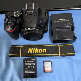 Nikon D5500 ボディ ショット数49,643回