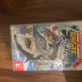 釣りスピリッツ Nintendo Switch