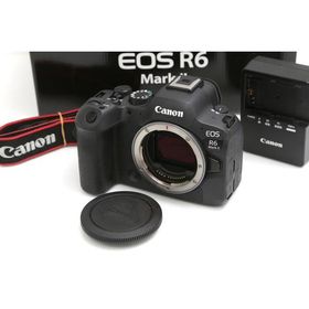 【全額返金保証】美品｜キヤノン EOS R6 Mark II ボディ（センサー清掃済） CA01-B3708-2S2