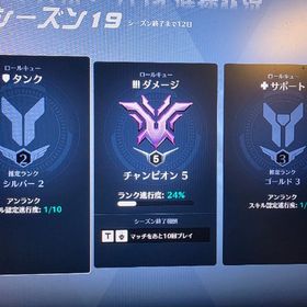 オーバーウォッチ チャンピオン&シルゴル垢 PS.PC.Xbox.Switch 対応○ | オーバーウォッチ2(OW2)のアカウントデータ、RMTの販売・買取一覧