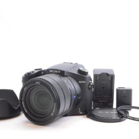 SONY ソニー デジタルカメラ DSC-RX10M3