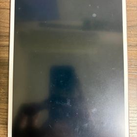 iPad Pro 10.5インチ WiーFi 256GB ジャンク扱い