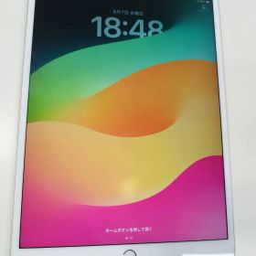 【Wi-Fiモデル】iPad Pro 10.5インチ/第1世代/256GB/A1701〈MPF02J/A〉
