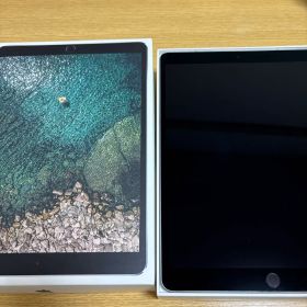 iPad Pro 10.5インチ 256GB Wi-Fi + Cellular