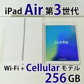 iPad Air 第3世代 Wi-Fi + Cellular 画面焼け有