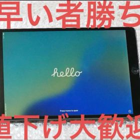 iPad Air 10.5 第3世代 256GB SIMフリー MV0N2J/A