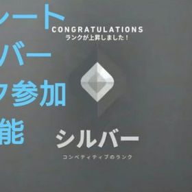 シルバー ✅️24H即対応 メールアドレス譲渡します。valorant | VALORANT(ヴァロラント)のアカウントデータ、RMTの販売・買取一覧