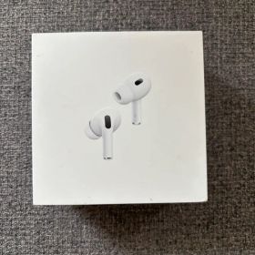 AirPods Pro (箱・USB・シリコン製イヤーチップ・説明書)