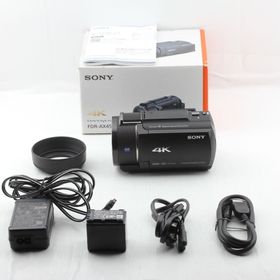 ソニー(SONY)のSONY ソニー FDR-AX45A B Handycam(ビデオカメラ)