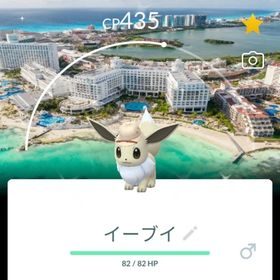 激レア！✨✨色違いイーブイ背景付き！🎉🎉 | ポケモンGOのアカウントデータ、RMTの販売・買取一覧