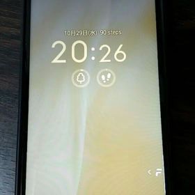 arrows We2 ライトオレンジ（サーモンピンク） FCG2 黒ケース付き