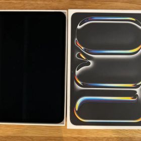 【AppleCare+】ほぼ未使用 iPad Pro 11インチM4 256GB