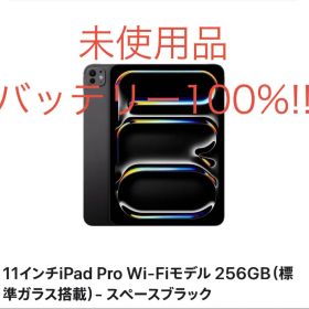 【未使用品】M4 iPad Pro 11インチ/256GB/ブラック