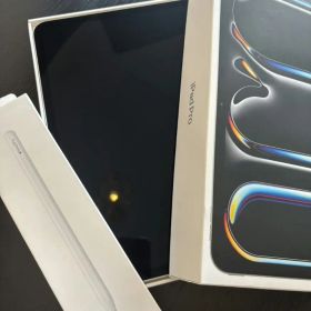 iPad Pro 11 M4 256GB+Pencil Pro 充電3回 極美品