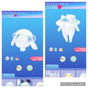 クラシカラビットベレー ラビットフードケープ | ポケコロのアイテム、RMTの販売・買取一覧