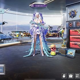 スキン豊富なアカウント「限定価格」 | PUBG MOBILEのアカウントデータ、RMTの販売・買取一覧