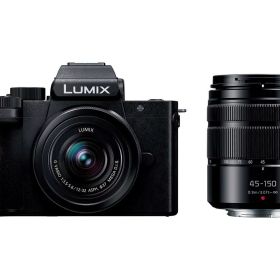 Panasonic デジタル一眼カメラ LUMIX DC-G100DW ダブルズームレンズキット